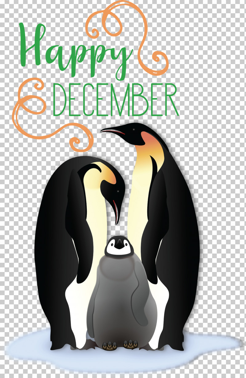 Happy December Winter PNG, Clipart, Beak, Biology, Birds, Flightless Bird, Happy December Free PNG Download
