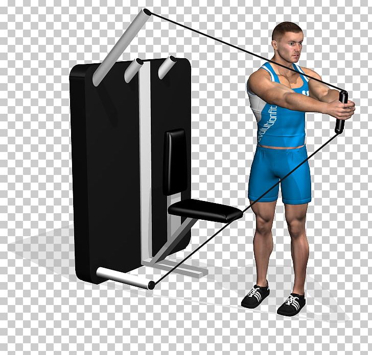 Abdomen Physical Fitness Crunch Exercise Torsion PNG, Clipart, Abdomen, Arm, Balance, Biceps, Cable Machine Free PNG Download