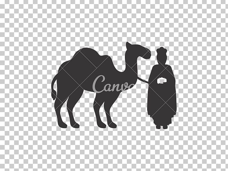 Camel Drawing PNG, Clipart, Animals, Black And White, Camel, Camel Like Mammal, Drawing Free PNG Download