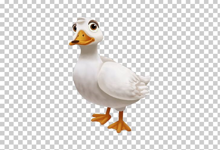 Duck American Pekin Bird PNG, Clipart, American Pekin, Animals, Beak, Bird, Computer Icons Free PNG Download