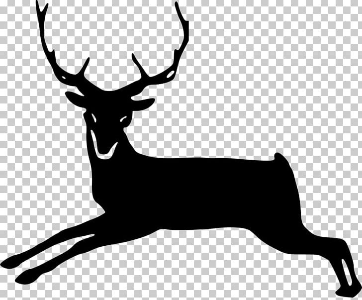 Reindeer White-tailed Deer PNG, Clipart, Antler, Black And White, Cartoon, Deer, Deer Clipart Free PNG Download