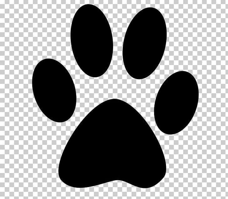 Cat Paw Dog Kitten Claw PNG, Clipart, Animals, Animal Track, Beauty Print, Black, Black And White Free PNG Download
