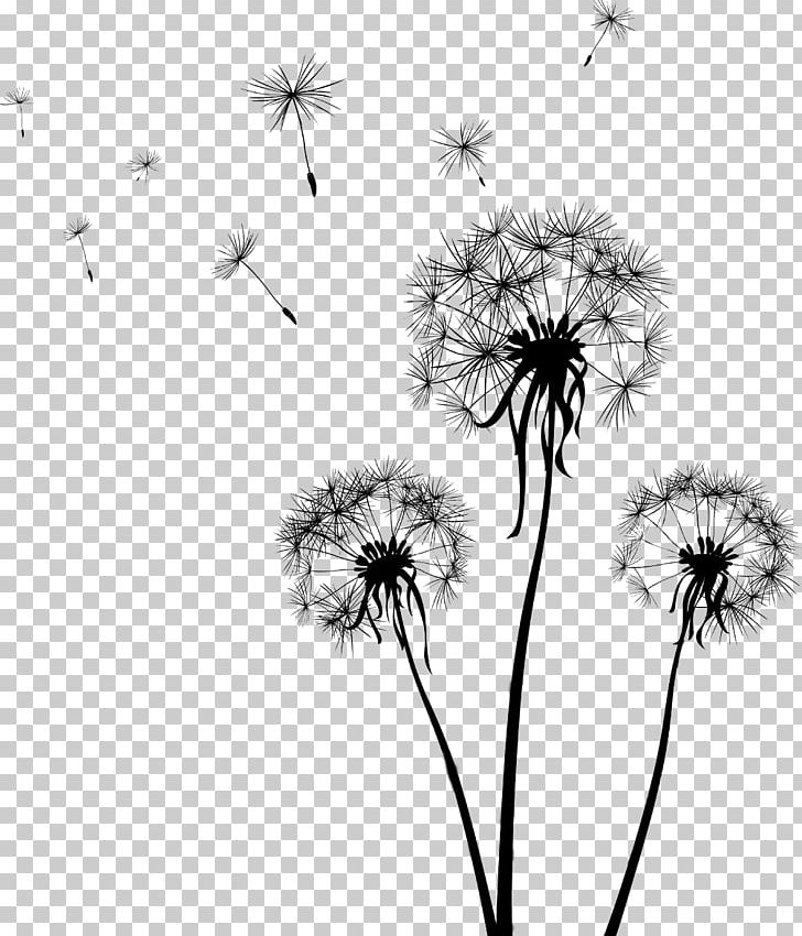 Drawing Dandelion PNG, Clipart, Art, Black, Computer Wallpaper, Dandelion Flower, Flower Free PNG Download