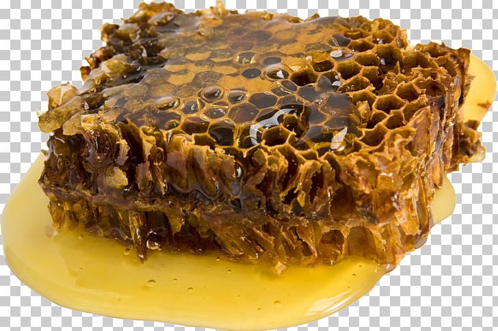 Propolis Beeswax Tincture Honey PNG, Clipart, Adhesive, Alcohol, Bee, Beekeeping, Beeswax Free PNG Download
