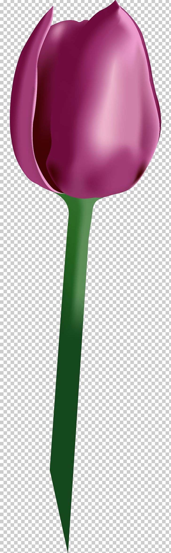 Tulip Euclidean Computer File PNG, Clipart, Download, Encapsulated Postscript, Flower, Flowers, Gratis Free PNG Download