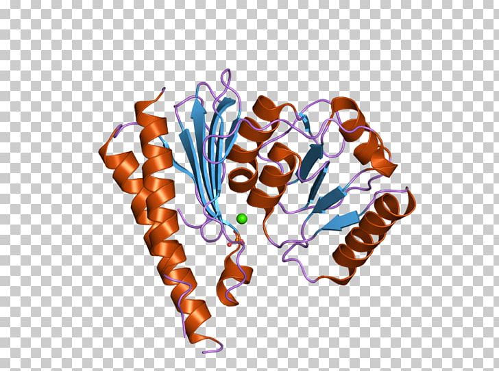 Inositol Monophosphatase 2 Food PNG, Clipart, Ebi, Enzyme, Food, Gene, Homo Sapiens Free PNG Download