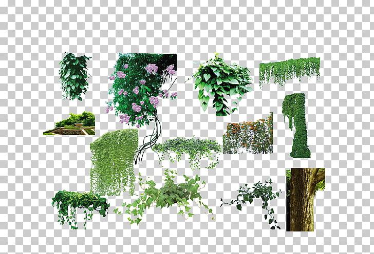 Tree Vine Plant Flower PNG, Clipart, Climbing, Climb The Wall, Ecosystem, Euclidean Vector, Filename Extension Free PNG Download