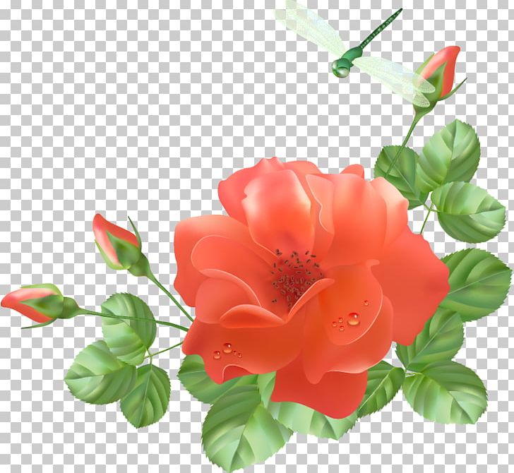 Garden Roses Flower PNG, Clipart, Azalea, Cut Flowers, Drawing, Encapsulated Postscript, Flower Free PNG Download