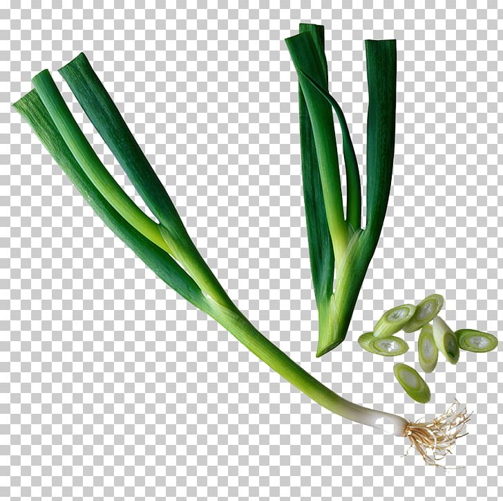 Chinese Cuisine Chives Asian Cuisine Onion Scallion PNG, Clipart, Allium Fistulosum, Asian Cuisine, Background Green, Beans, Commodity Free PNG Download