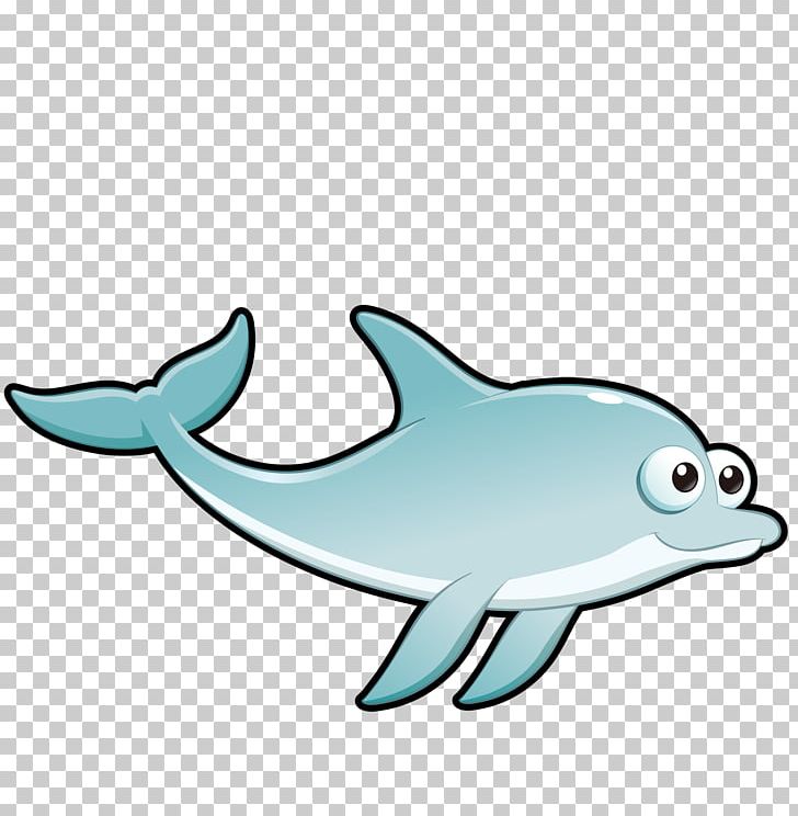 Common Bottlenose Dolphin Tucuxi Drawing Cartoon PNG, Clipart, Cartoon, Cartoon Character, Cartoon Eyes, Cartoon Fish, Fauna Free PNG Download