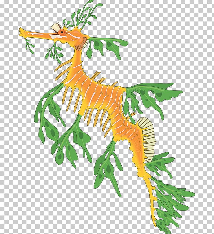 Leafy Seadragon Common Seadragon Seahorse PNG, Clipart, Animal Figure, Art, Artwork, Branch, Common Seadragon Free PNG Download