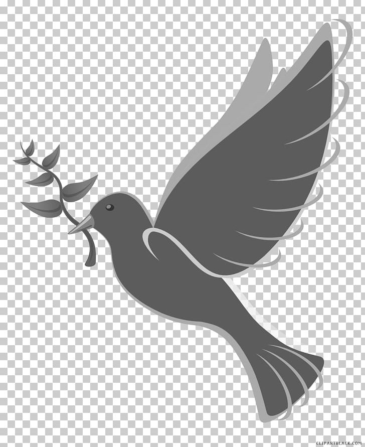 Pigeons And Doves Free Content Domestic Pigeon Portable Network Graphics PNG, Clipart, Animal, Beak, Bird, Black And White, Computer Icons Free PNG Download