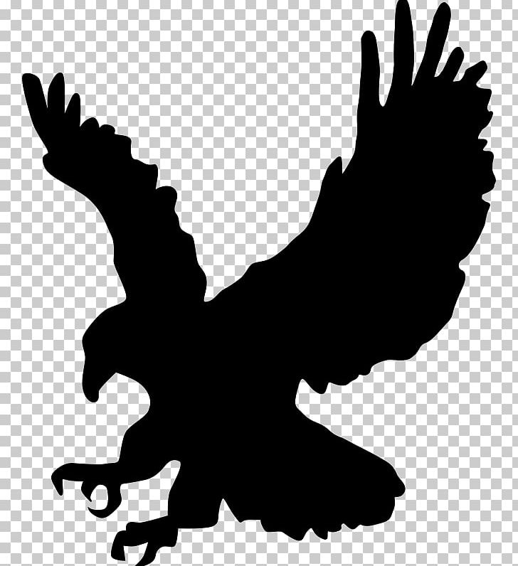 Bald Eagle Silhouette PNG, Clipart, Animals, Artwork, Bald Eagle, Beak, Bird Free PNG Download