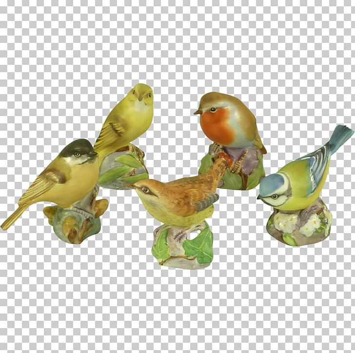 Budgerigar Parrot Lovebird Parakeet PNG, Clipart, Animals, Beak, Bird, Budgerigar, Common Pet Parakeet Free PNG Download