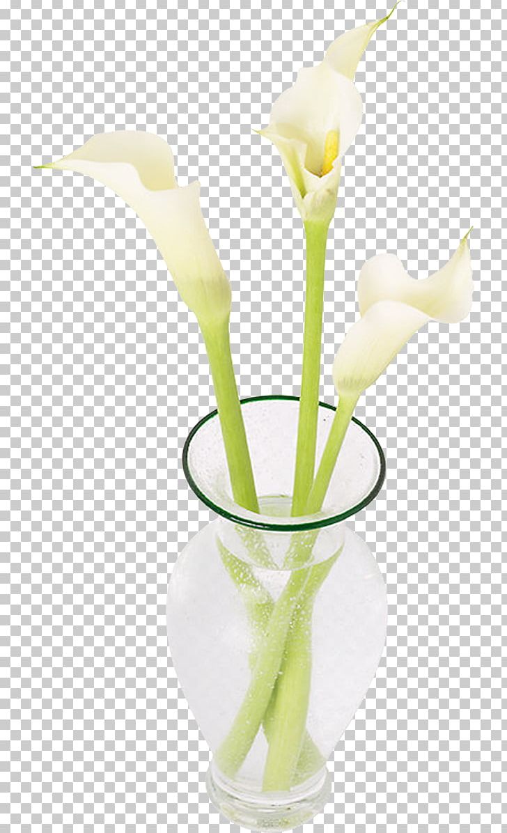 Depoe Bay Lincoln City Floral Design Neskowin Pacific City PNG, Clipart, Arum, Cala, Calas, Calla, Cut Flowers Free PNG Download