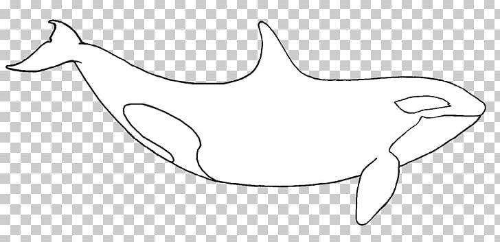 Killer Whale Penguin Drawing PNG, Clipart, Angle, Animals, Area, Artwork, Beak Free PNG Download