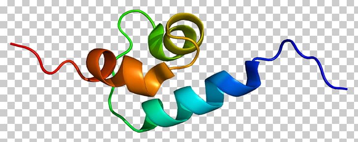 Sequestosome 1 RIPK1 Knockout Mouse Protein Gene PNG, Clipart, 1 Q, Area, Brand, Finger, Gene Free PNG Download