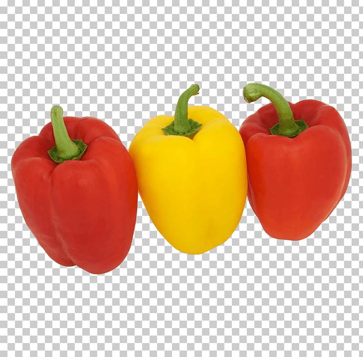 Chili Pepper Yellow Pepper Bell Pepper Malta Warehouse Peppers PNG, Clipart, Bell Pepper, Bell Peppers And Chili Peppers, Capsicum, Chili Pepper, Discounts And Allowances Free PNG Download