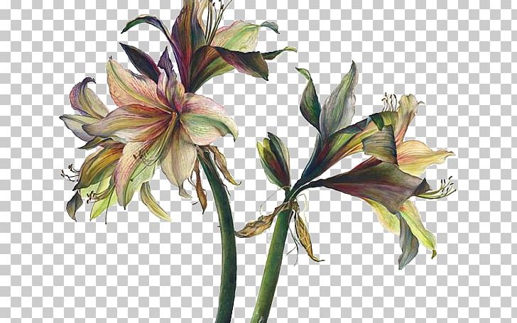 Floral Design Art Watercolor Painting Drawing PNG, Clipart, Artificial Flower, Artist, Cartoon, Flower, Flower Arranging Free PNG Download