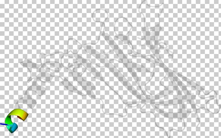 White Line PNG, Clipart, Angle, Animal, Art, Benzimidazole, Black And White Free PNG Download
