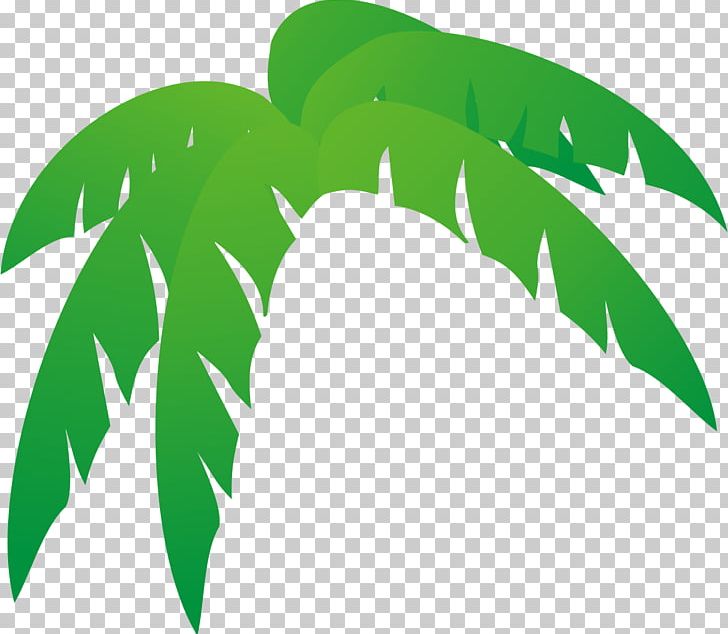Arecaceae Leaf Tree Palm Branch PNG, Clipart, Arecaceae, Autumn Leaf Color, Branch, Clip Art, Coconut Free PNG Download