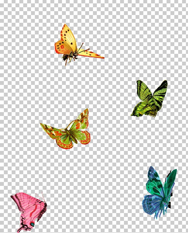 Butterfly PNG, Clipart, 123 Stitchery, Art, Backstitch, Blog, Brush Footed Butterfly Free PNG Download