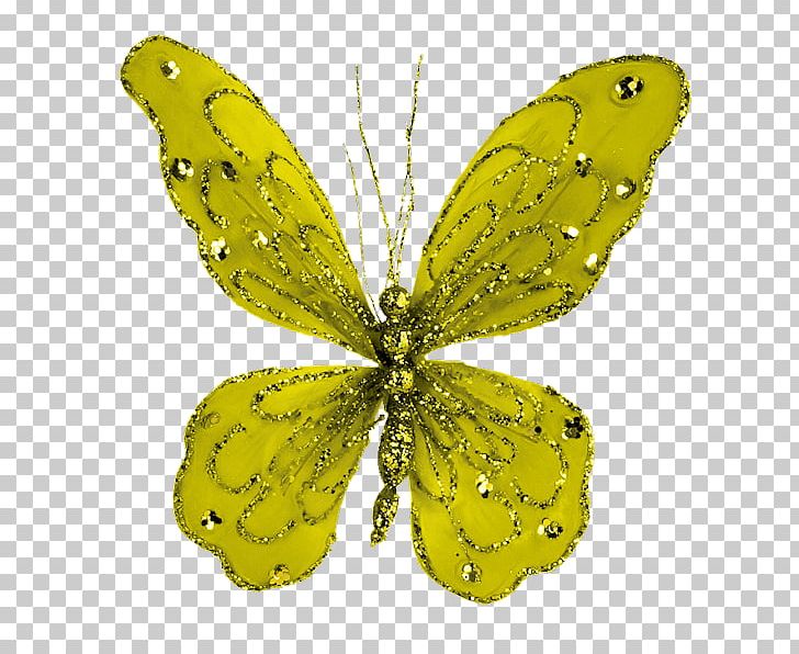 Clouded Yellows Brush-footed Butterflies Moth Pieridae Butterfly PNG, Clipart, Arthropod, Brush Footed Butterfly, Butterfly, Colias, Golden Free PNG Download