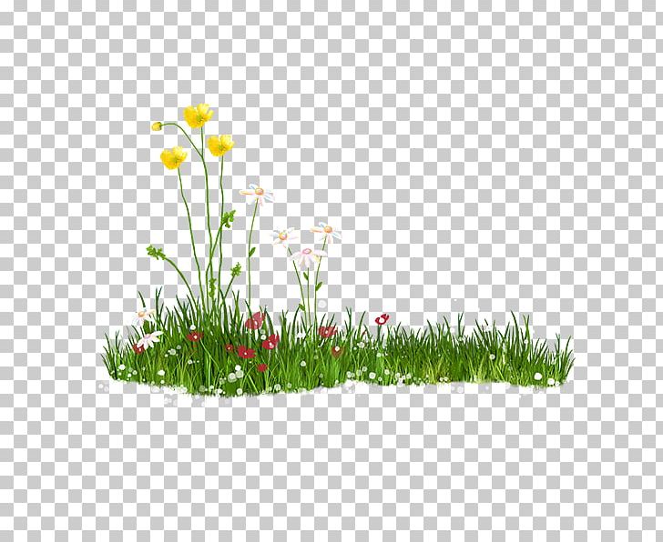Lawn PNG, Clipart, Download, Flower, Flowering Plant, Flowerpot, Flowers Free PNG Download