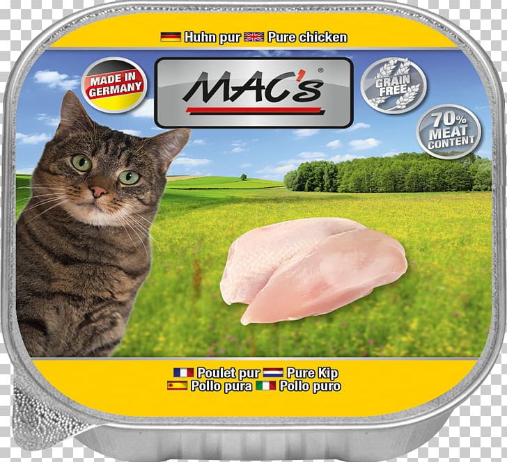 Cat Food Dog Chicken Torrfoder PNG, Clipart, Animals, Cat, Cat Food, Cat Like Mammal, Cat Supply Free PNG Download