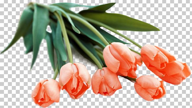 Flower Bouquet Tulip Orange PNG, Clipart, Bride, Desktop Wallpaper, Flower, Flower Bouquet, Flowering Plant Free PNG Download