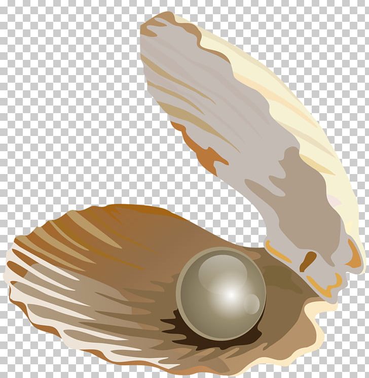 Seashell Pearl Jewellery PNG, Clipart, Cartoon, Download, Google Images, Jewellery, Jewelry Free PNG Download