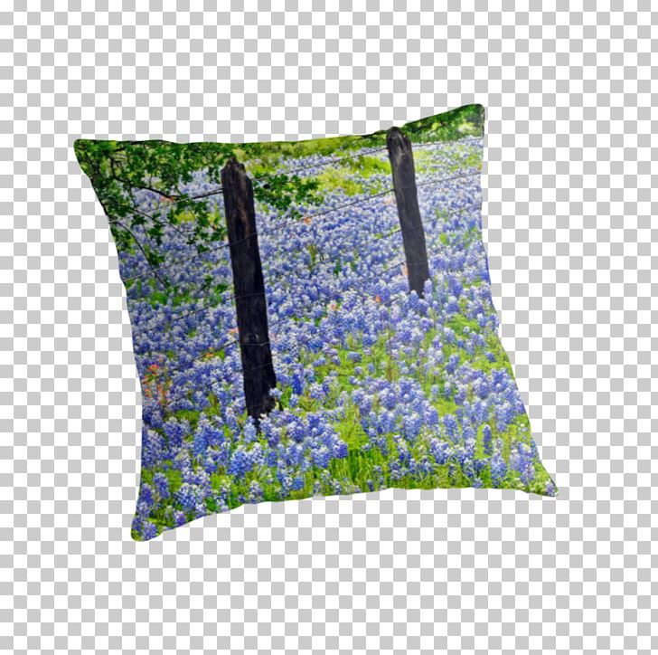Cushion Throw Pillows PNG, Clipart, Bluebonnets, Cushion, Furniture, Grass, Pillow Free PNG Download