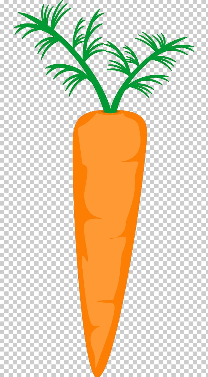 Flower Carrot PNG, Clipart, Carrot, Dots Per Inch, Flower, Flowerpot, Food Free PNG Download