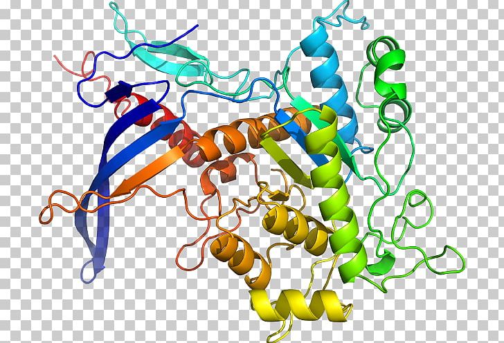 Protein Disulfide-isomerase Bond Deusylffid Line PNG, Clipart, Area, Art, Artwork, Bond Deusylffid, H B Free PNG Download