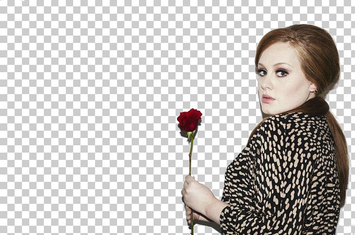 Adele High-definition Video Display Resolution PNG, Clipart, 4k Resolution, 1080p, Adele, Beauty, Brit Awards Free PNG Download