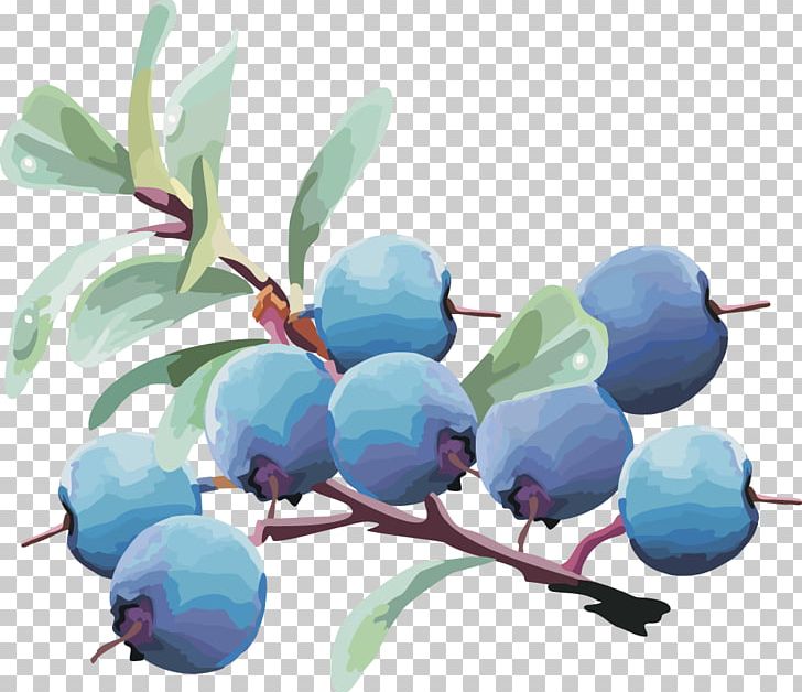 Bilberry Blueberry Fruit PNG, Clipart, Branch, Cherries, Cherry, Chinese Lantern, Dried Fruit Free PNG Download