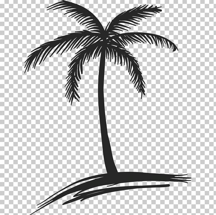 Drawing Coconut Arecaceae Tree Watercolor Painting PNG, Clipart, Arecaceae, Arecales, Art, Black And White, Coconut Free PNG Download