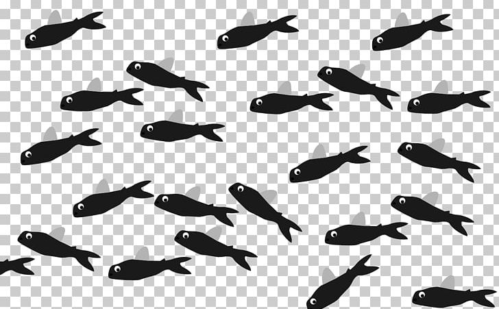 Flying Fish Meter Length Seahorse PNG, Clipart, Animal Migration, August, Beak, Bird, Bird Migration Free PNG Download