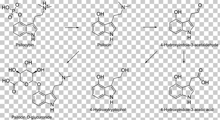 Psilocybin Mushroom N PNG, Clipart, Angle, Area, Auto Part, Black And White, Chem Free PNG Download