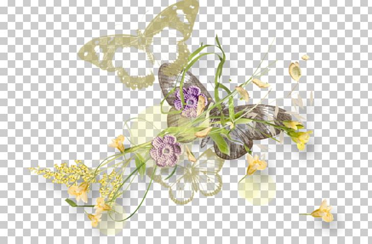 Blog Photography PNG, Clipart, Birman, Blog, Burma, Butterfly, Fictional Character Free PNG Download