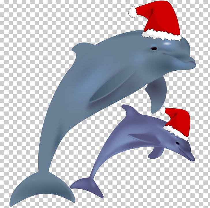 Bottlenose Dolphin PNG, Clipart, Animal, Animal Figure, Animals, Bottlenose Dolphin, Common Bottlenose Dolphin Free PNG Download