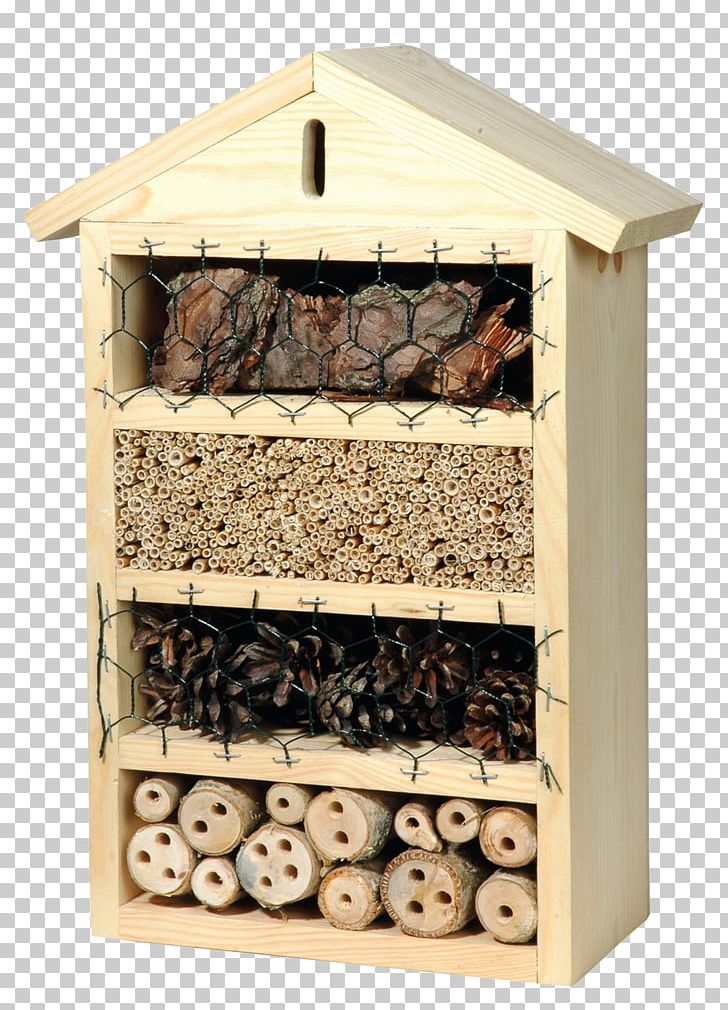 Canton Of Glarus Insect Hotel Bee Chrysoperla Carnea PNG, Clipart, Animals, Balkon, Bee, Garden, Green Lacewings Free PNG Download