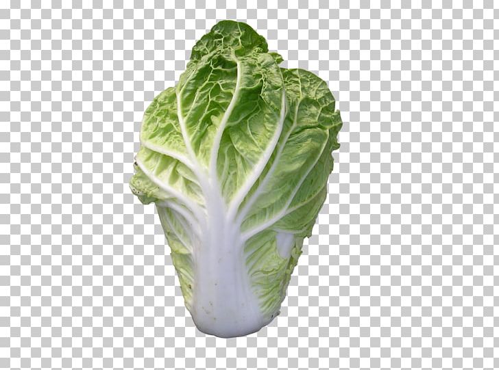 Romaine Lettuce Savoy Cabbage Collard Greens Spring Greens Cruciferous Vegetables PNG, Clipart, Cabbage, Chard, Chinese, Chinese Cabbage, Eat Free PNG Download