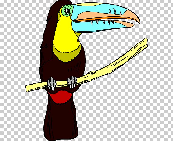 Toucan Bird PNG, Clipart, Beak, Bird, Download, Emerald Toucanet, Keelbilled Toucan Free PNG Download