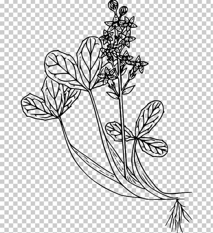 Floral Design Computer Icons PNG, Clipart, Art, Art Clipart, Artwork, Black And White, Bog Free PNG Download