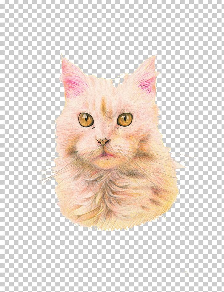 Maine Coon Whiskers Kitten Domestic Short-haired Cat Hello Kitty PNG, Clipart, Animals, Black Cat, Carnivoran, Cartoon Cat, Cat Free PNG Download