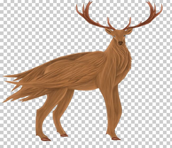 Reindeer Elk White-tailed Deer Antler PNG, Clipart, Animal, Animal Figure, Antler, Art, Artist Free PNG Download