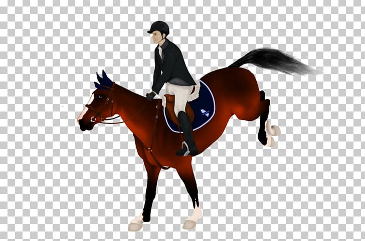 Hunt Seat Equestrian PNG, Clipart, Animal Training, Art, Bridle, Digital Art, Dressage Free PNG Download