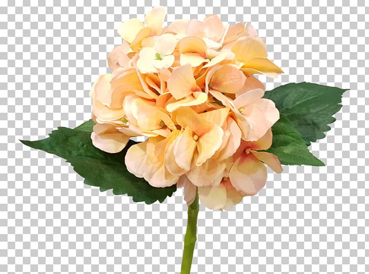 Hydrangea Cut Flowers Artificial Flower Flower Bouquet PNG, Clipart, Annual Plant, Artificial Flower, Begonia, Cornales, Cut Flowers Free PNG Download
