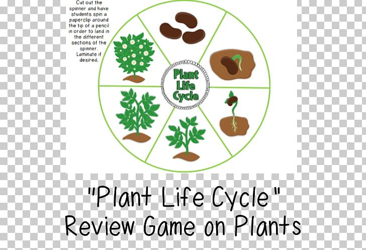 Puzzle Crossword Game Plant Water PNG Clipart Area Botany Classroom